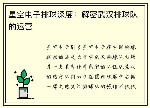 星空电子排球深度：解密武汉排球队的运营